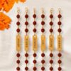 rudraksh rakhi